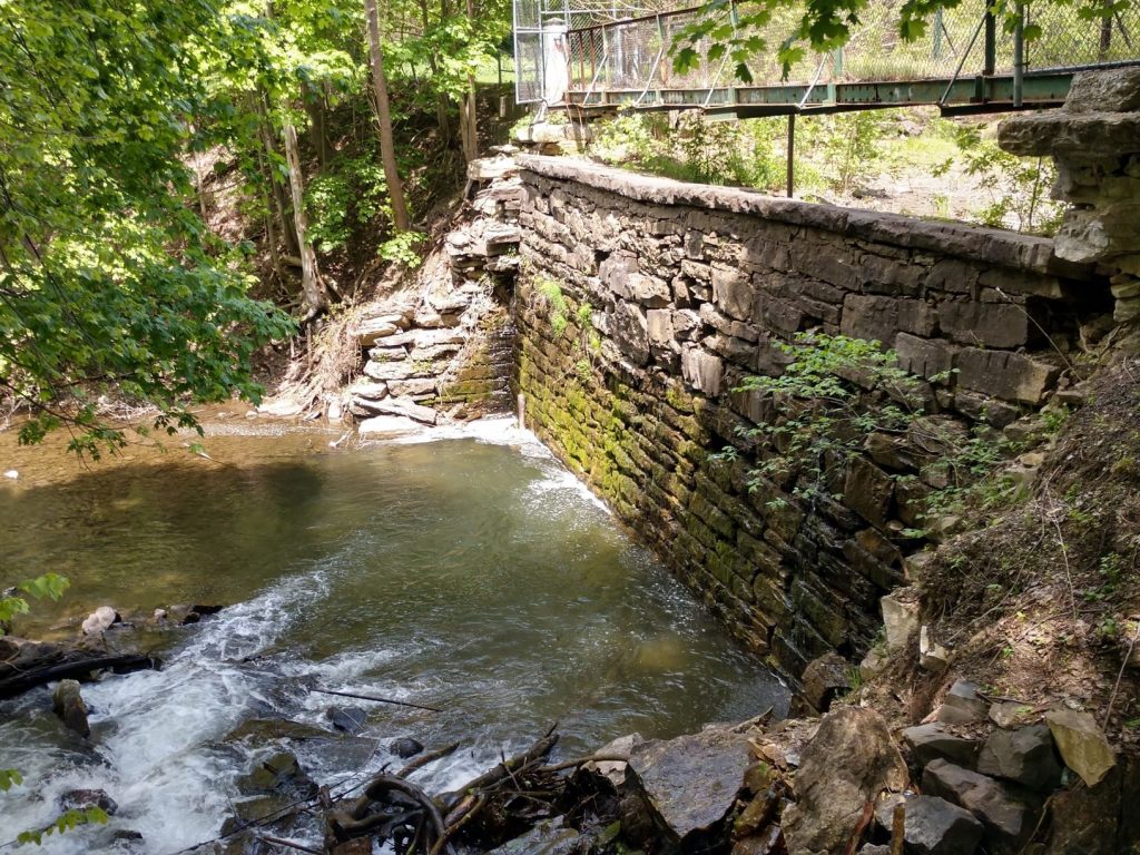 Photo 1 View of the downstream face from the left abutment