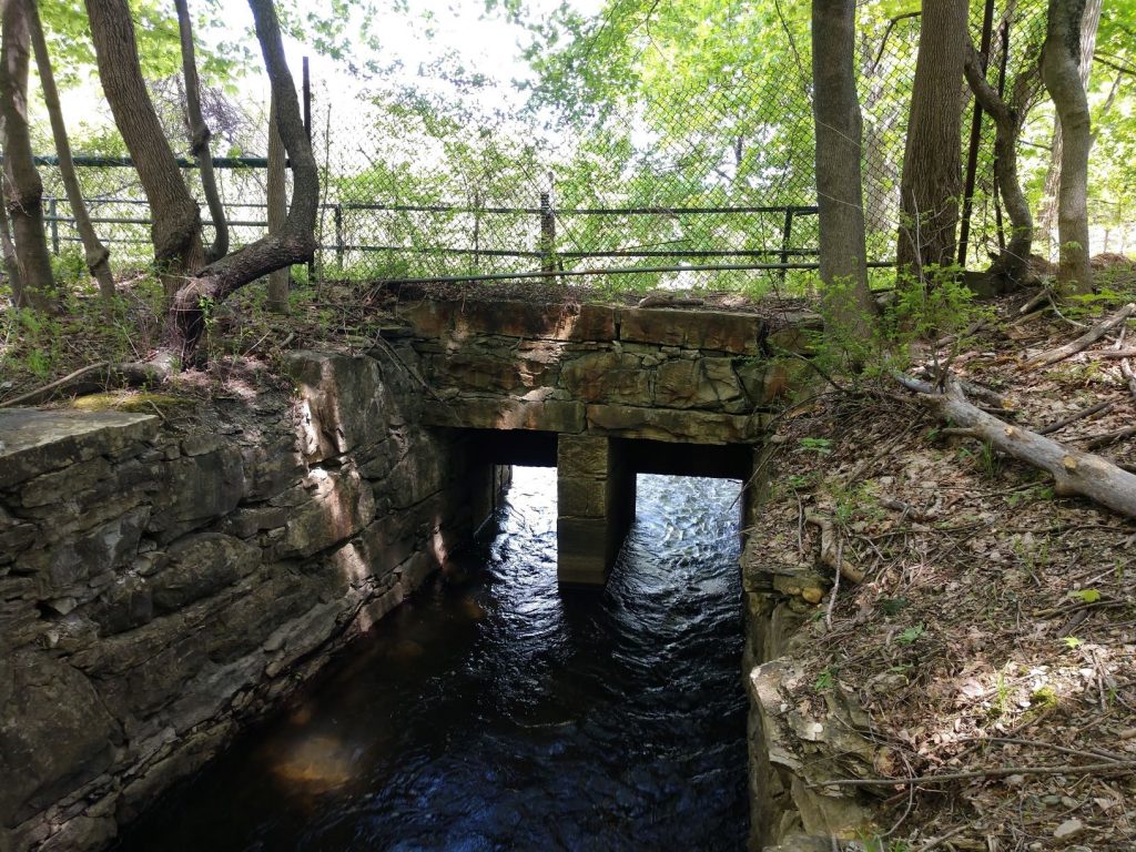 photo 4 View of the sluiceway from downstream